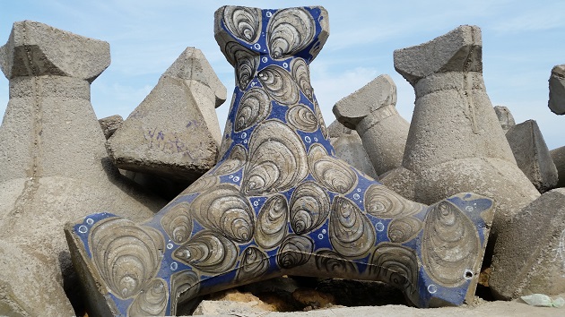 cum arata pista pentru biciclisti din portul constanta galerie foto 505457 cum arata pista pentru biciclisti din portul constanta galerie foto 505457