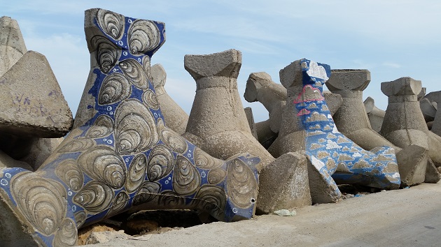 cum arata pista pentru biciclisti din portul constanta galerie foto 505457 cum arata pista pentru biciclisti din portul constanta galerie foto 505457