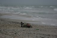Bărbatul care s-a înecat ieri pe plaja 3 Papuci a fost identificat de autorităţi   