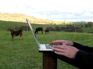 Zonele rurale vor beneficia de infrastructură de internet de mare viteză 