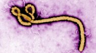 UPDATE. Românul suspect de infectare cu virusul mortal a fost în Vama Veche Suspiciune de Ebola în România!       