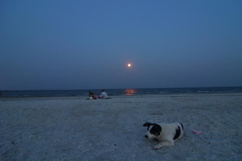 fotoreportaj super luna in spectacol pe cerul constantei 506577 fotoreportaj super luna in spectacol pe cerul constantei 506577