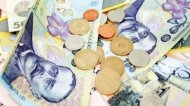 Cui ar vrea PSD să încrediţeze Ministerul Bugetului după alegerile prezidenţiale