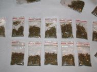 Mai mulți tineri, priniși de jandarmi cu etnobotanice în Costinești, dar și în Constanța, zona Podului de Butelii