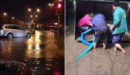 UPDATE. Aproape 400 de apeluri la 112 din Constanţa şi Valu lui Traian Ploaia a făcut noaptea trecută ravagii în municipiul Constanţa (galerie foto)                   