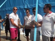 Vier Pfoten îl somează public pe Mazăre Edilului i se solicită să renunţe la folosirea animalelor sălbatice la carnaval    