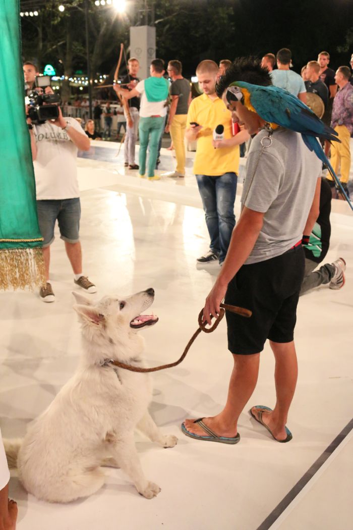 carnavalul de la mamaia continua primarul radu mazare si cabral pe scena din piata cazino galerie foto carnavalul de la mamaia continua primarul radu mazare si cabral pe scena din piata cazino galerie foto