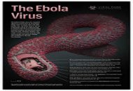Autoritățile infirmă posibilitatea unei infecții cu Ebola în România    