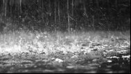 MAE a emis o avertizare de călătorie din cauza codului portocaliu 