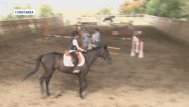 Litoral TV Echitația, un sport la modă 