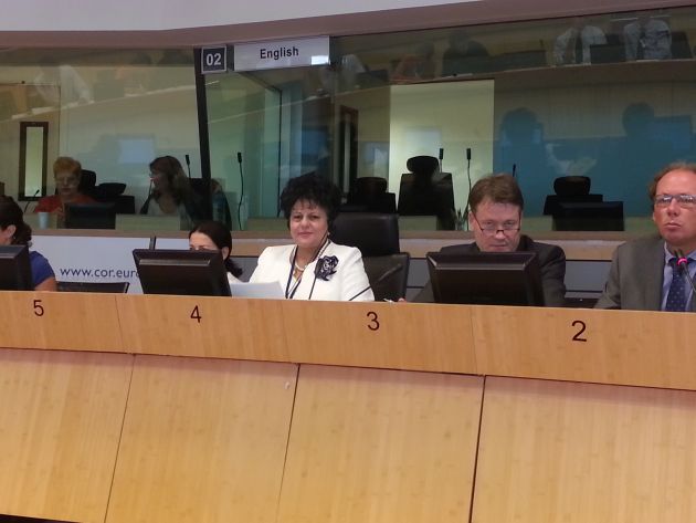 mariana gaju presedinta acor prezenta la atelierul evaluarea impactului teritorial bazat pe metodologia mariana gaju presedinta acor prezenta la atelierul evaluarea impactului teritorial bazat pe metodologia