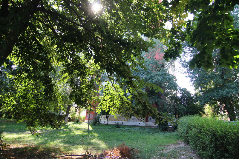 blocuri ce rasar ca ciupercile dupa ploaie cum dispare spatiul verde de pe bulevardul alexandru lapusneanu blocuri ce rasar ca ciupercile dupa ploaie cum dispare spatiul verde de pe bulevardul alexandru lapusneanu