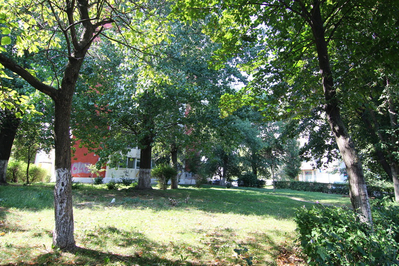 blocuri ce rasar ca ciupercile dupa ploaie cum dispare spatiul verde de pe bulevardul alexandru lapusneanu blocuri ce rasar ca ciupercile dupa ploaie cum dispare spatiul verde de pe bulevardul alexandru lapusneanu