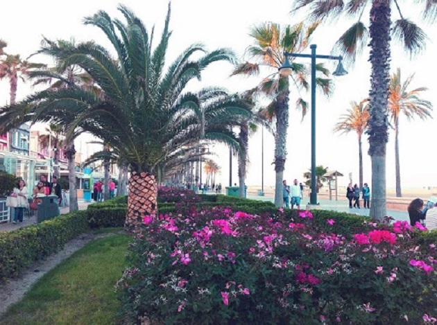 litoral tv promenada un proiect viabil pentru navodari 511095 litoral tv promenada un proiect viabil pentru navodari 511095