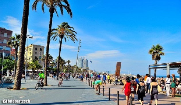 litoral tv promenada un proiect viabil pentru navodari 511095 litoral tv promenada un proiect viabil pentru navodari 511095