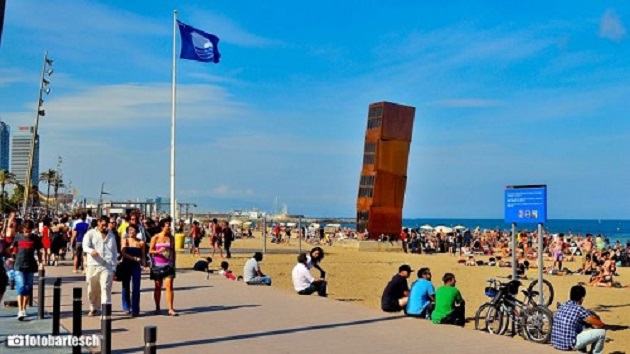 litoral tv promenada un proiect viabil pentru navodari 511095 litoral tv promenada un proiect viabil pentru navodari 511095