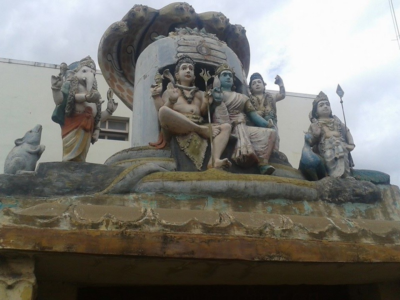 intampinat cu flori si in sunet de tobe antrenorul alin larion a primit in india binecuvantarea unui intampinat cu flori si in sunet de tobe antrenorul alin larion a primit in india binecuvantarea unui