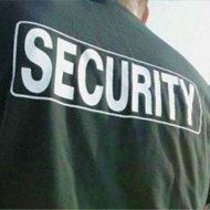 Elena Udrea şi-a angajat bodyguarzi