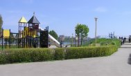 Pentru ce a plătit RAEDPP aproape 250.000 de lei firmei Pomacost, în 2010 (documente)
