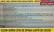 Interceptări incendiare Dorin Cocoş i-a spus Elenei Udrea despre şpaga luată      