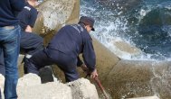 Descoperire terifiantă pe plaja din Eforie Nord Cadavru în descompunere, prins sub stabilopozi