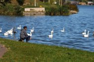 Fotoreportaj Ceea ce oferă natura pe lacul din parcul Tăbăcărie este de vis   