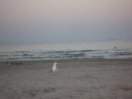 ABADL Începe pregătirea plajelor pentru iarnă