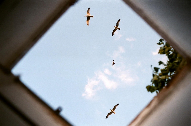 citeste mesajul aniversar al lui marian adochitei actor al teatrului de stat constanta 519757 citeste mesajul aniversar al lui marian adochitei actor al teatrului de stat constanta 519757