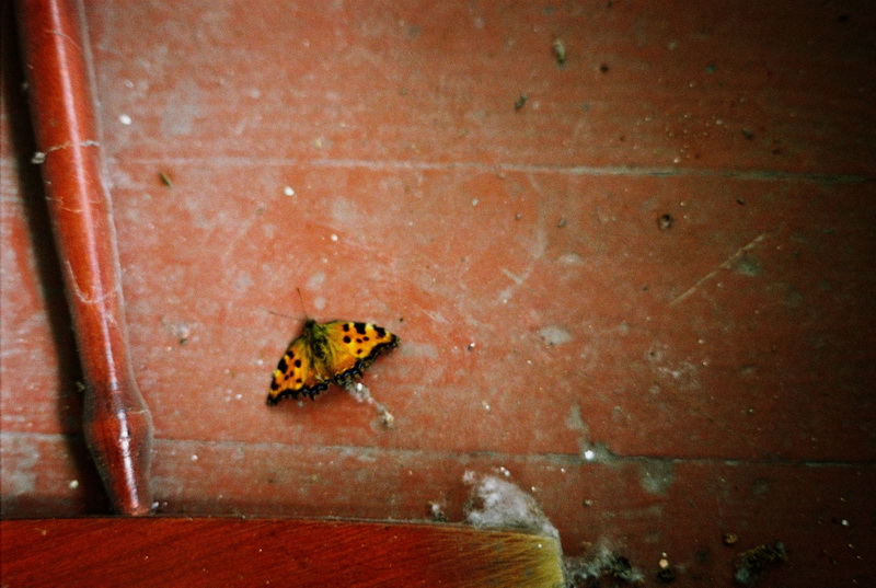 citeste mesajul aniversar al lui marian adochitei actor al teatrului de stat constanta 519757 citeste mesajul aniversar al lui marian adochitei actor al teatrului de stat constanta 519757