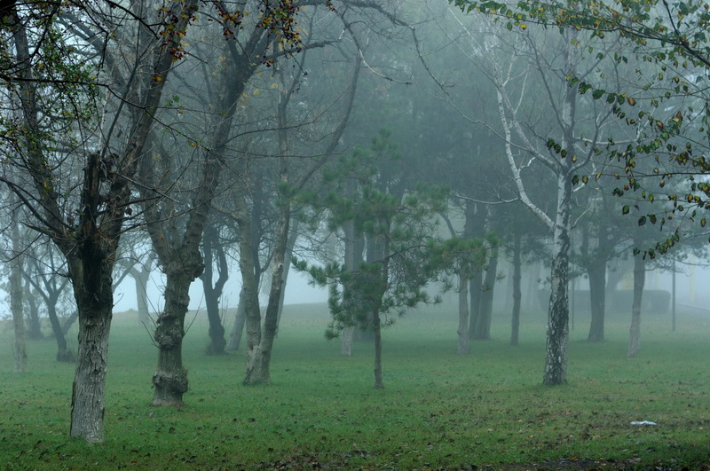 citeste mesajul aniversar al lui marian adochitei actor al teatrului de stat constanta 519757 citeste mesajul aniversar al lui marian adochitei actor al teatrului de stat constanta 519757
