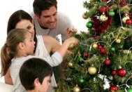 Brazii de Crăciun au apărut deja în magazinePreţurile ţin oamenii la distanţă
