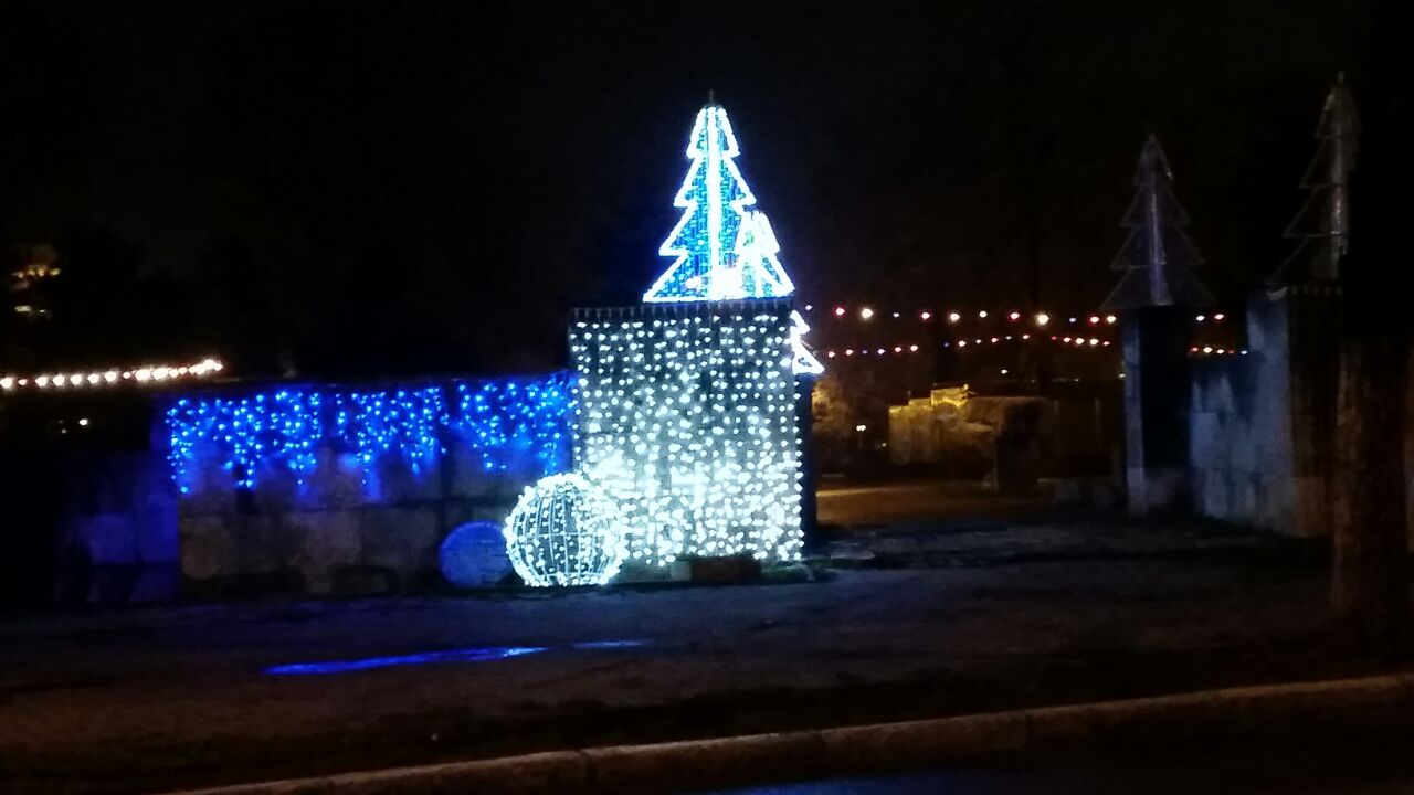 fotoreportaj renii lui mos craciun au decorat constanta in sarbatoare galerie foto 523733 fotoreportaj renii lui mos craciun au decorat constanta in sarbatoare galerie foto 523733