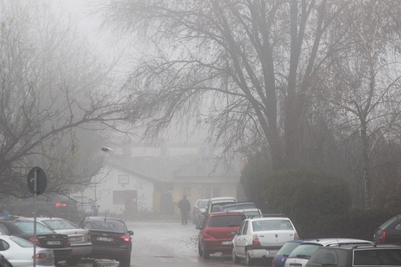 fotoreportaj constanta e in ceata 524139 fotoreportaj constanta e in ceata 524139