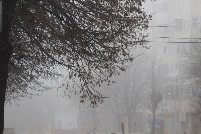 fotoreportaj constanta e in ceata 524139 fotoreportaj constanta e in ceata 524139