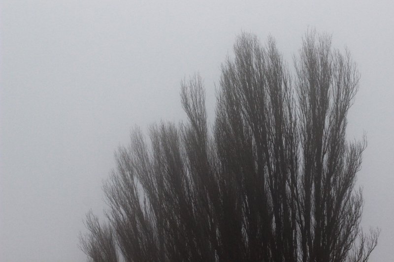 fotoreportaj constanta e in ceata 524139 fotoreportaj constanta e in ceata 524139