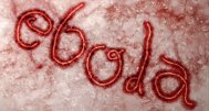 Epidemia de Ebola din vestul Africii se va încheia până în august