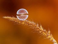 Lumea poeziilor Irina Lucia Mihalca - Calea spre tine