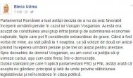 Elena Udrea, atac la Parlament și Varujan Vosganian, pe Facebook