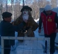 Elena Udrea, în arest, la Festivalul Oamenilor de Zăpadă