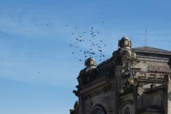 Scara cerului – Irina Lucia Mihalca