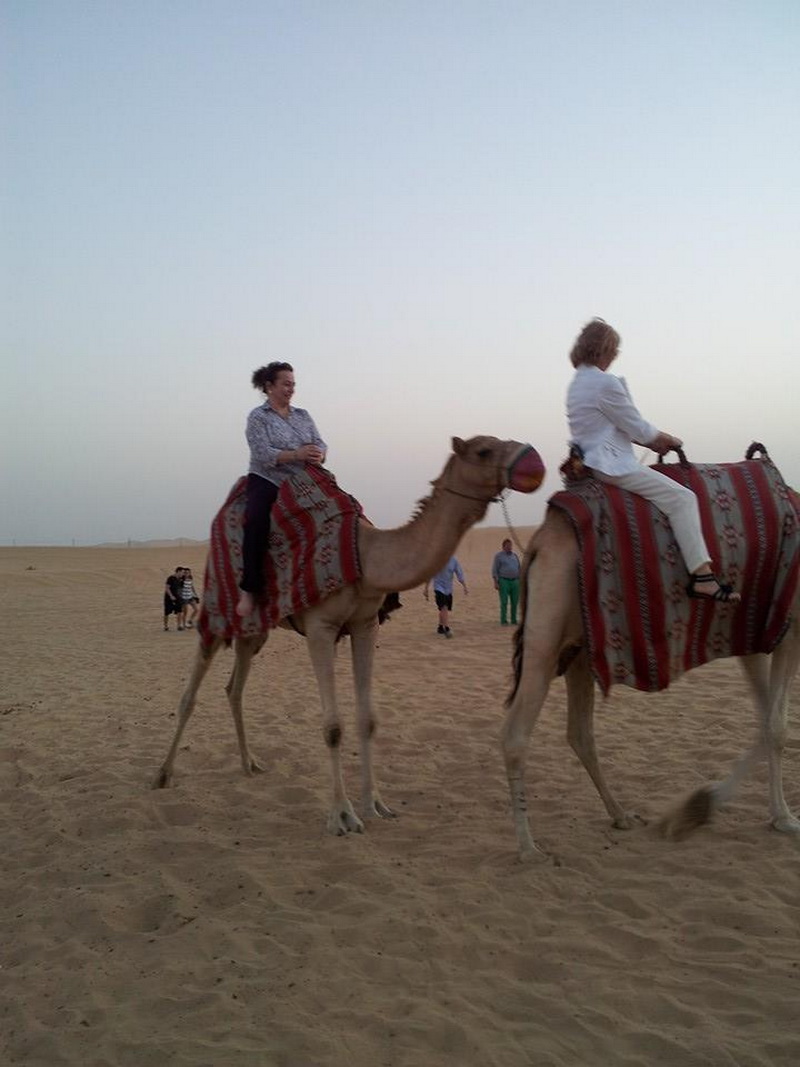 aniversare si valentine s day in emirate clementa si hacic garabet despartiti de simona halep de o furtuna aniversare si valentine s day in emirate clementa si hacic garabet despartiti de simona halep de o furtuna