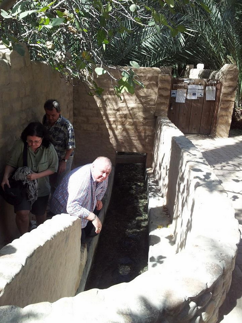 aniversare si valentine s day in emirate clementa si hacic garabet despartiti de simona halep de o furtuna aniversare si valentine s day in emirate clementa si hacic garabet despartiti de simona halep de o furtuna