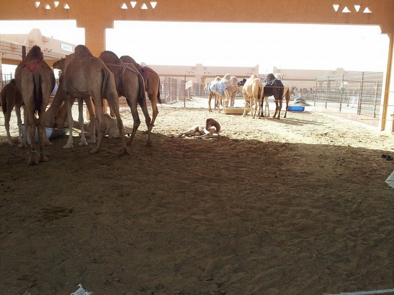 aniversare si valentine s day in emirate clementa si hacic garabet despartiti de simona halep de o furtuna aniversare si valentine s day in emirate clementa si hacic garabet despartiti de simona halep de o furtuna