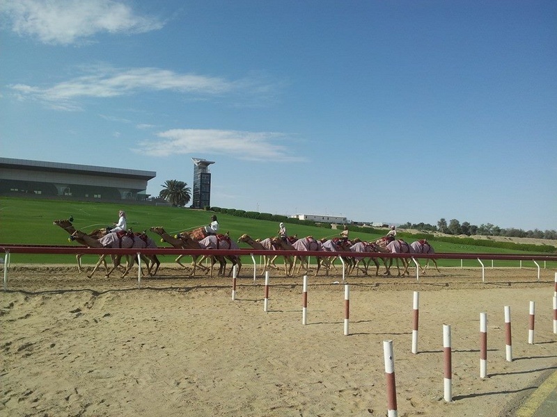 aniversare si valentine s day in emirate clementa si hacic garabet despartiti de simona halep de o furtuna aniversare si valentine s day in emirate clementa si hacic garabet despartiti de simona halep de o furtuna