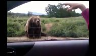 Funny video Cea mai bună colecţie de eşuări şi accidente ... Trebuie să vezi!