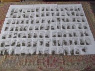 Muguri de primăvară în pacheţele de staniol Tineri din Constanţa, surprinşi de jandarmi cu substanţe halucinogene