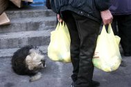 Primăria Constanţa a anunţat programul distribuirii pachetelor cu alimente