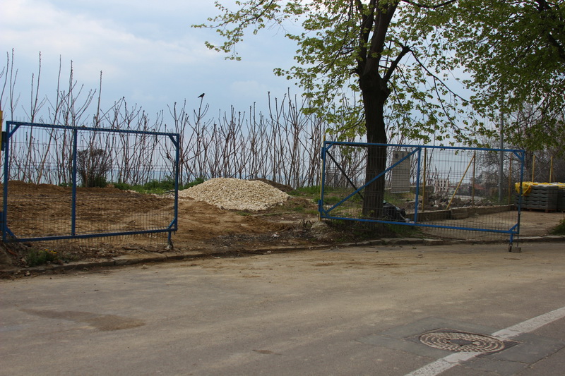 natura musca din faleza terenul a luat o la vale fin co ge ro eminescu street project un proiect facut natura musca din faleza terenul a luat o la vale fin co ge ro eminescu street project un proiect facut