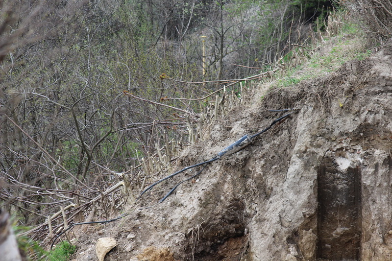natura musca din faleza terenul a luat o la vale fin co ge ro eminescu street project un proiect facut natura musca din faleza terenul a luat o la vale fin co ge ro eminescu street project un proiect facut