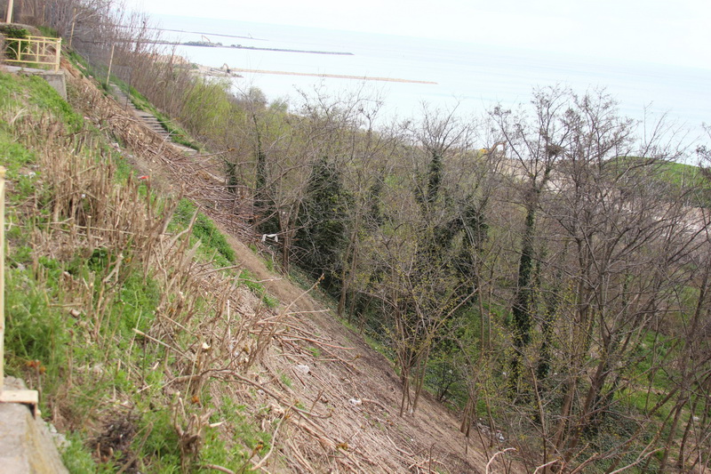 natura musca din faleza terenul a luat o la vale fin co ge ro eminescu street project un proiect facut natura musca din faleza terenul a luat o la vale fin co ge ro eminescu street project un proiect facut